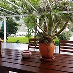 Theo's Vacation Nyaraló