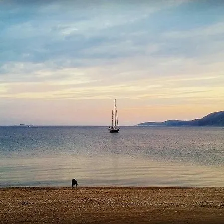 Theo's Vacation * Acherounes